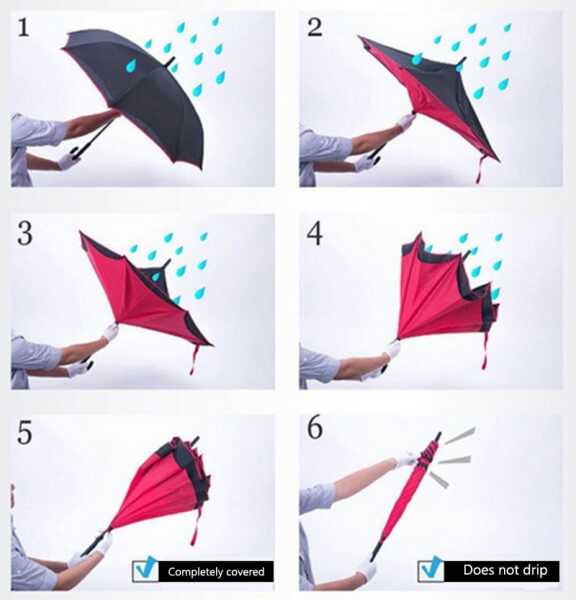 UP-BRELLA 